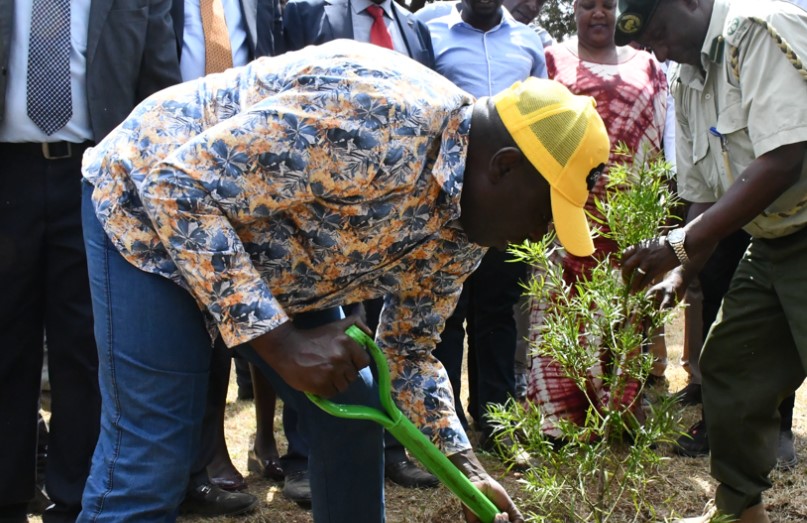 DP  Gachagua urges Kericho residents to plant more trees